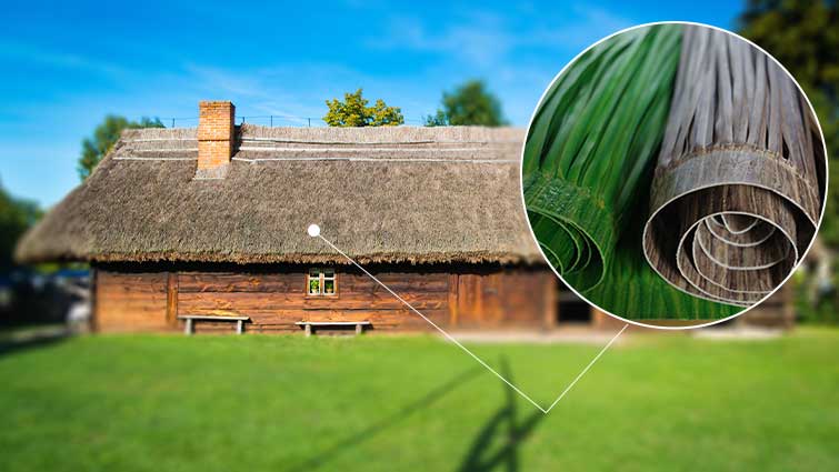 Thatched Artificial Lawn